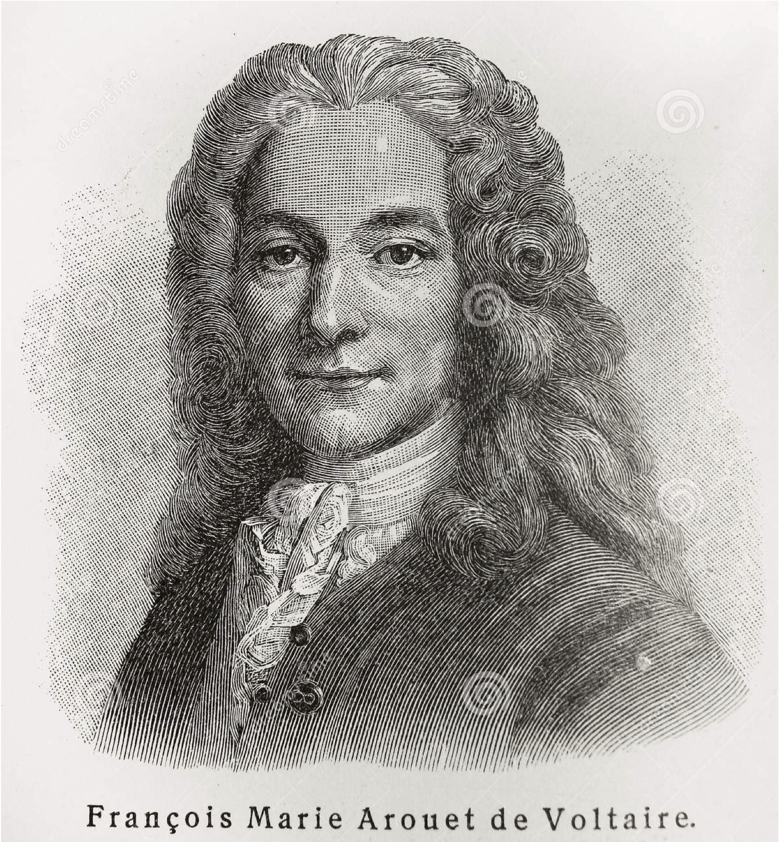 Voltaire and Cyber Risk Management